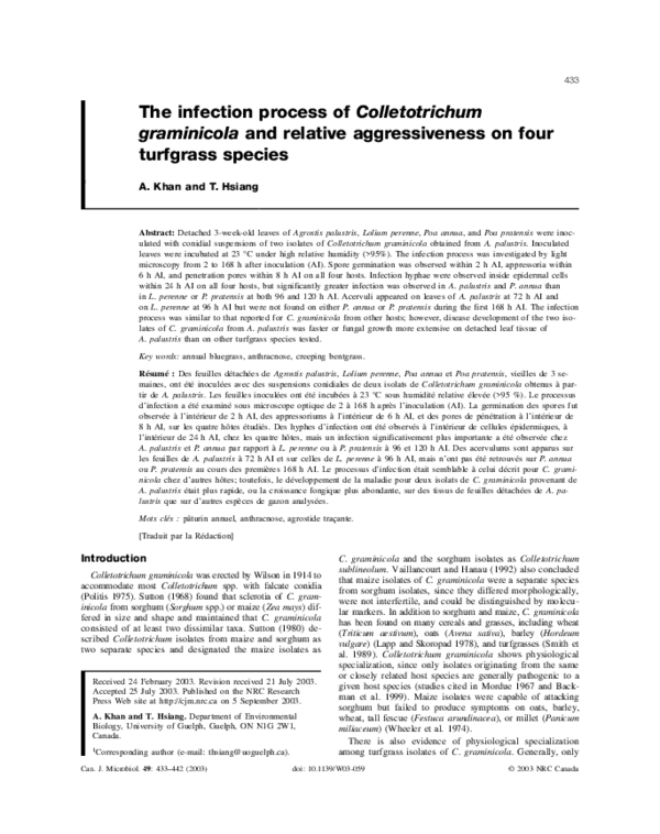 (PDF) The infection process of Colletotrichum graminicola and relative ...