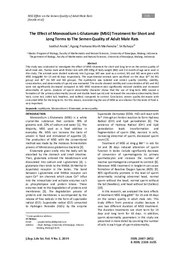 (PDF) The Effect of Monosodium L-Glutamate (MSG) Treatment for Short ...