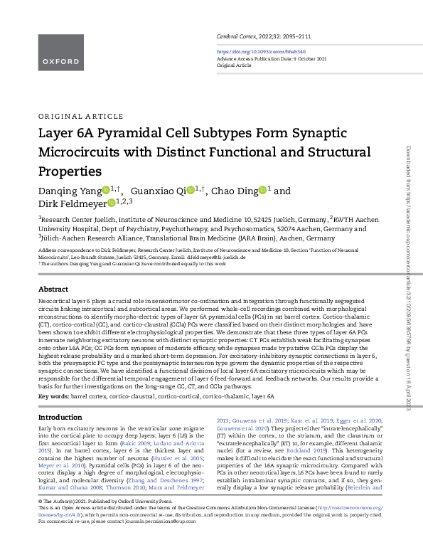 (PDF) Layer 6A Pyramidal Cell Subtypes Form Synaptic Microcircuits with ...