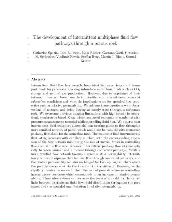(PDF) The development of intermittent multiphase fluid flow pathways ...