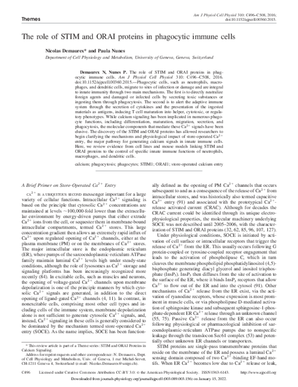 (PDF) The Role of STIM and ORAI Proteins in Phagocytic Immune Cells