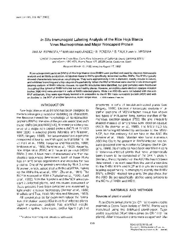 (PDF) In situ immunogold labeling analysis of the rice hoja blanca