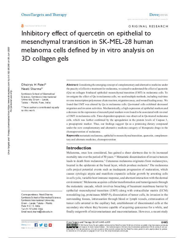(PDF) Inhibitory effect of quercetin on epithelial to mesenchymal ...