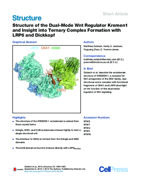 (PDF) Structure of the Dual-Mode Wnt Regulator Kremen1 and Insight into ...