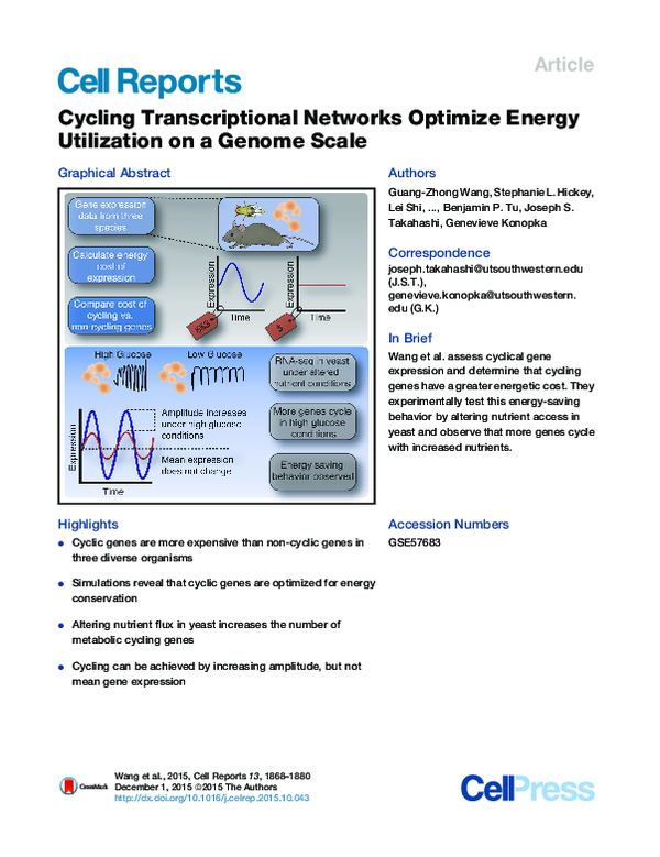 (PDF) Cycling Transcriptional Networks Optimize Energy Utilization on a ...