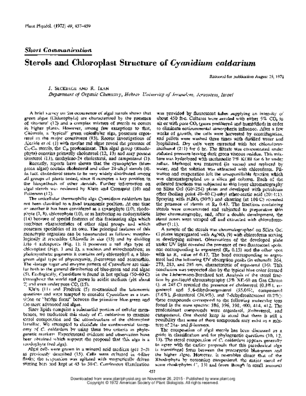 (PDF) Sterols and Chloroplast Structure of Cyanidium caldarium