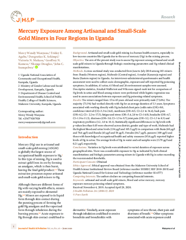 (PDF) Mercury Exposure Among Artisanal and Small-Scale Gold Miners in ...