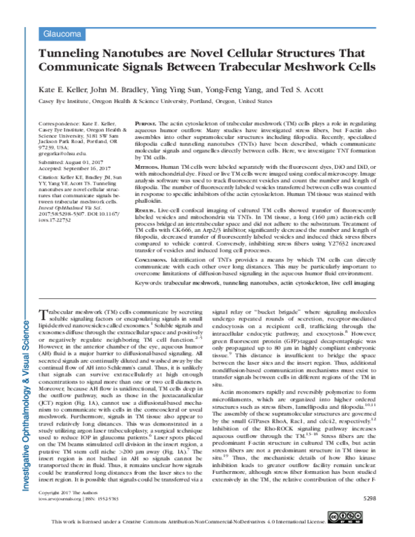 (PDF) Tunneling Nanotubes are Novel Cellular Structures That ...