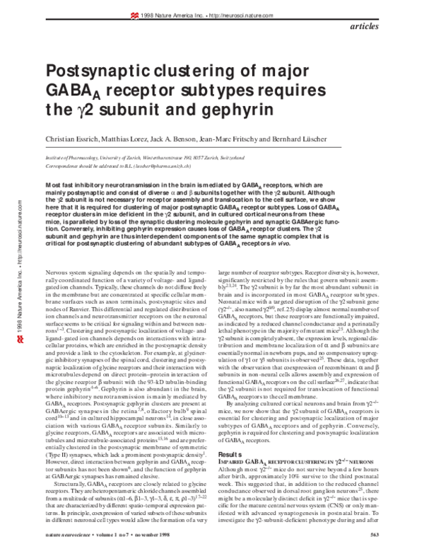 (PDF) Postsynaptic clustering of major GABAA receptor subtypes requires ...