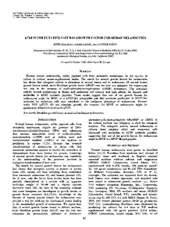 (PDF) bFGF is the putative natural growth factor for human melanocytes