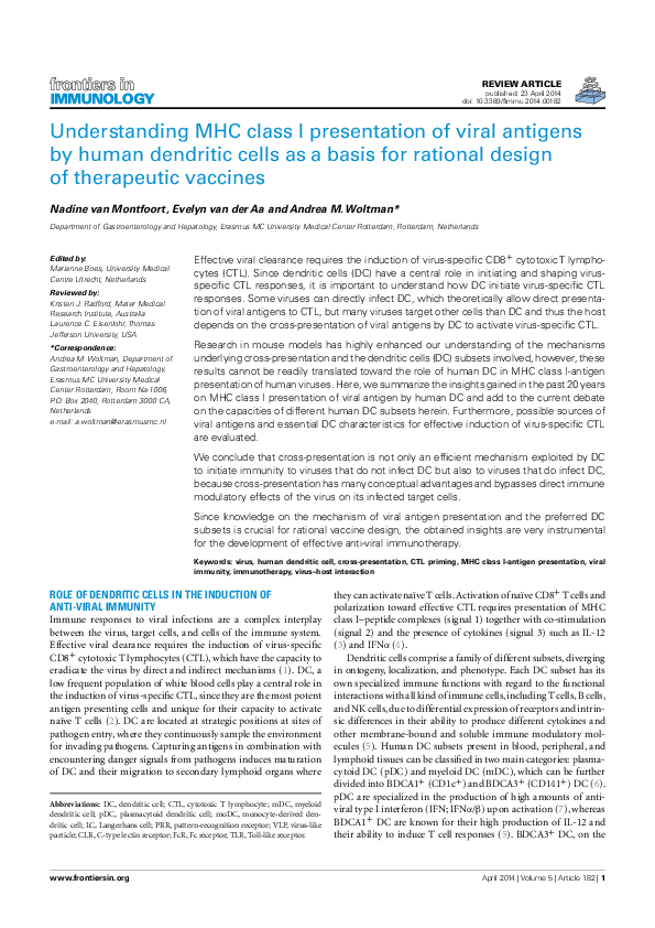 (PDF) Understanding MHC Class I Presentation of Viral Antigens by Human ...