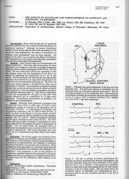 (PDF) The Effects of Halothane and Norepinephrine on Dominant and ...