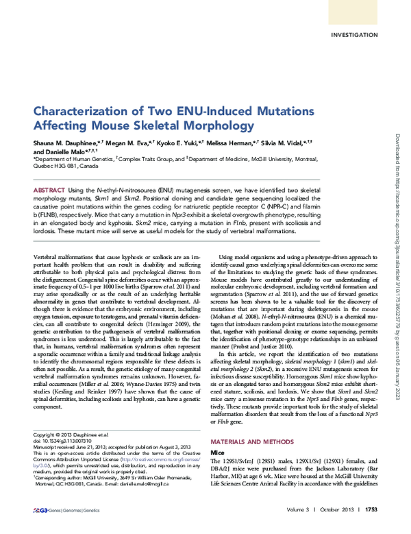 (PDF) Characterization of two ENU-induced mutations affecting mouse ...