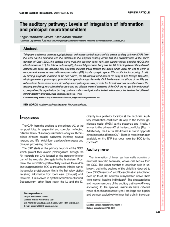 (PDF) [The auditory pathway: levels of integration of information and ...