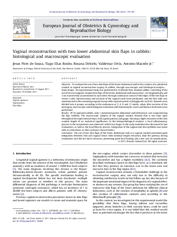(PDF) Vaginal reconstruction with two lower abdominal skin flaps in ...
