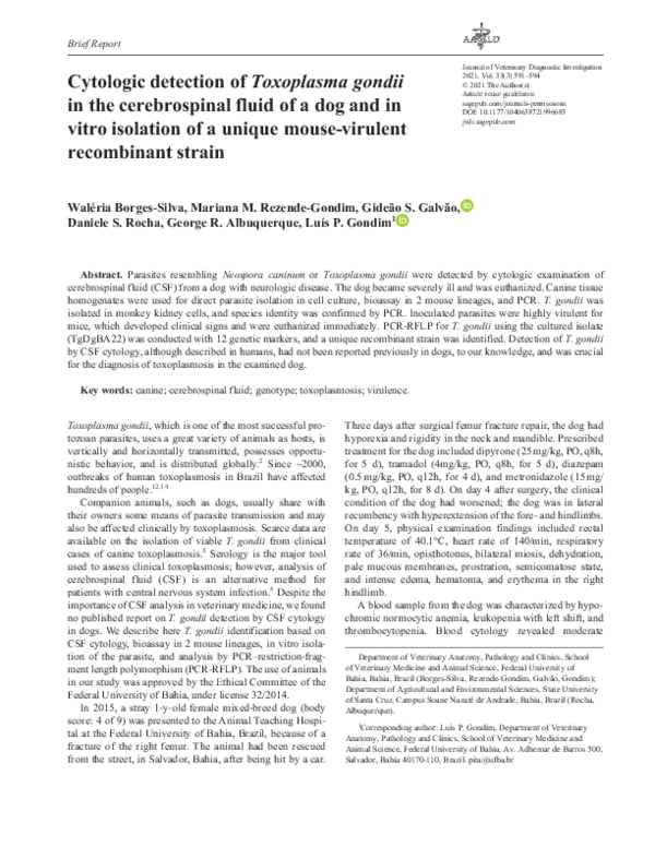 (PDF) Cytologic detection of Toxoplasma gondii in the cerebrospinal ...