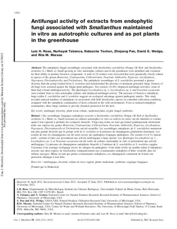(PDF) Antifungal activity of extracts from endophytic fungi associated ...