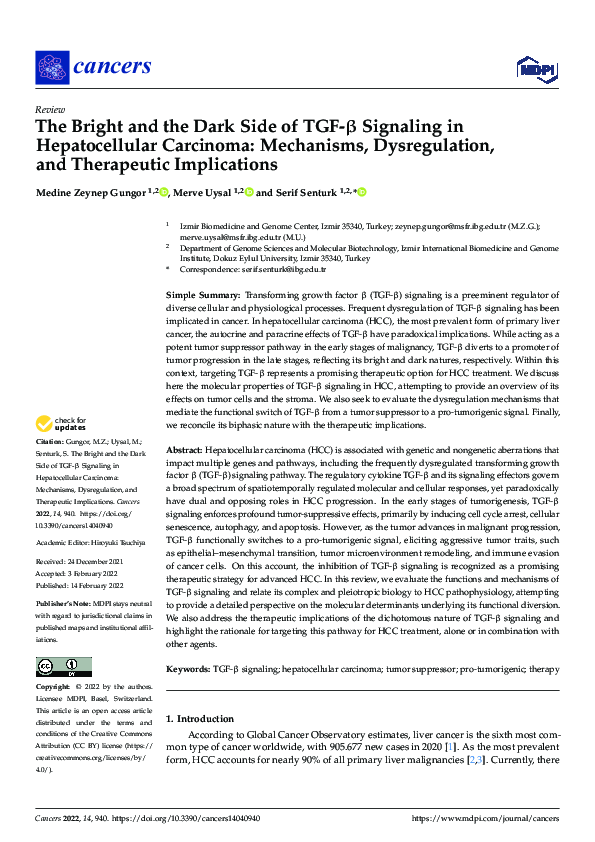 (PDF) The Bright and the Dark Side of TGF-β Signaling in Hepatocellular ...
