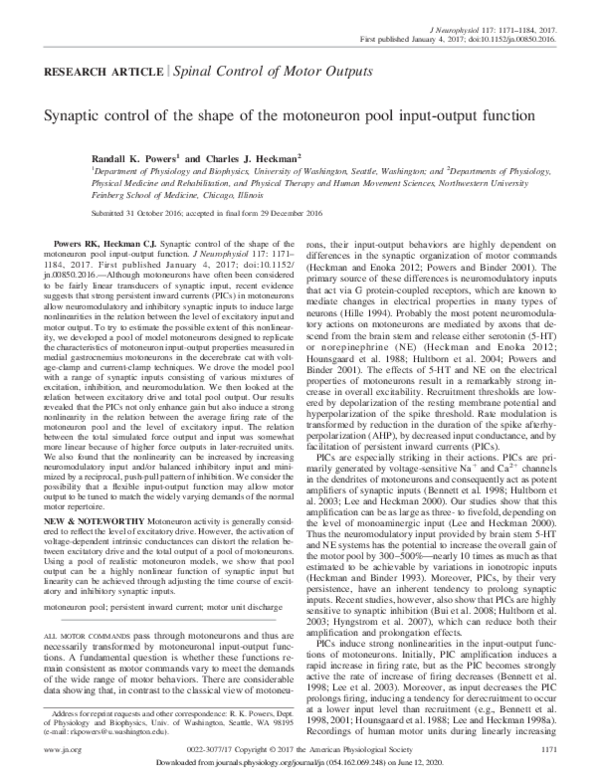 (PDF) Synaptic control of the shape of the motoneuron pool input-output ...