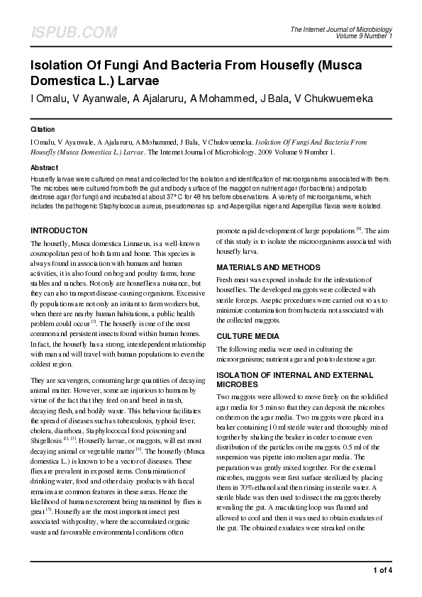 (PDF) Isolation Of Fungi And Bacteria From Housefly (Musca Domestica L ...