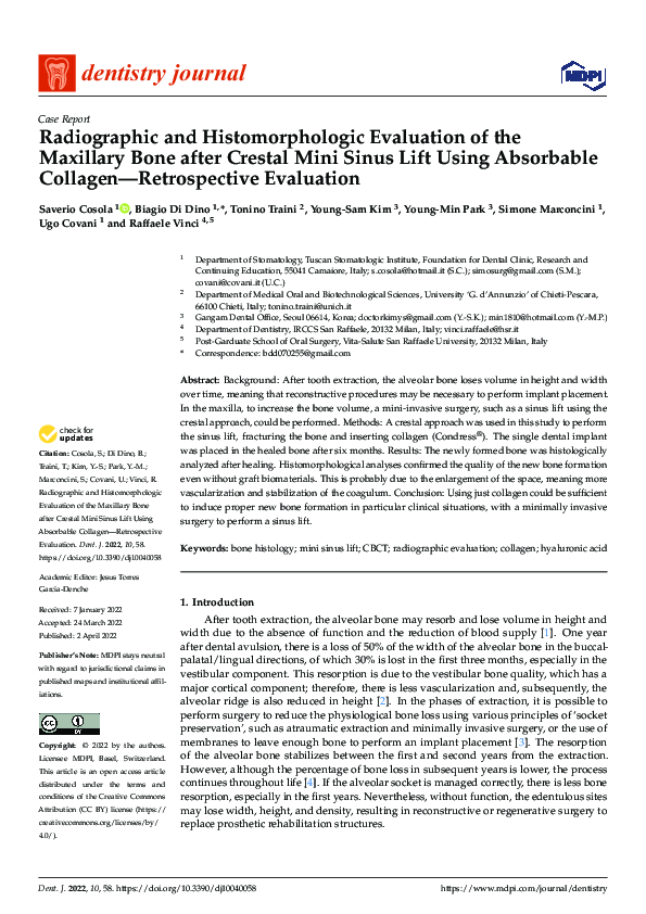 (PDF) Radiographic and Histomorphologic Evaluation of the Maxillary ...