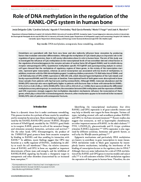 (PDF) Role of DNA methylation in the regulation of the RANKL-OPG system ...