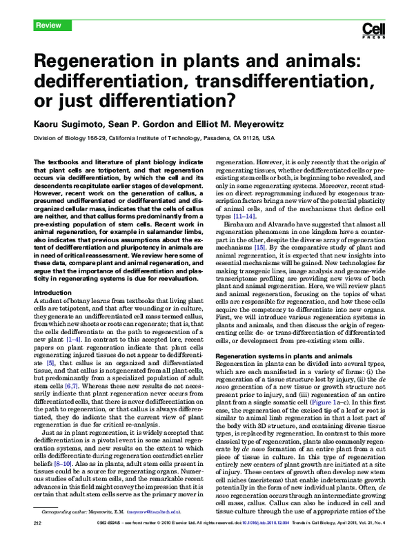 (PDF) Regeneration in plants and animals: dedifferentiation ...