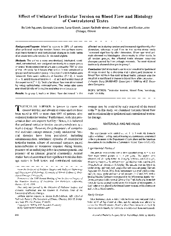 (PDF) Effect of unilateral testicular torsion on blood flow and
