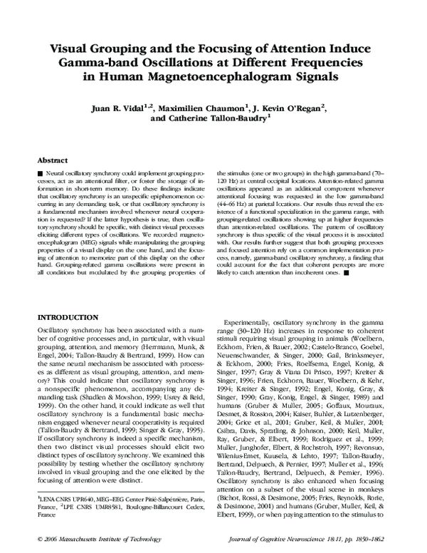 (PDF) Visual Grouping and the Focusing of Attention Induce Gamma-band ...