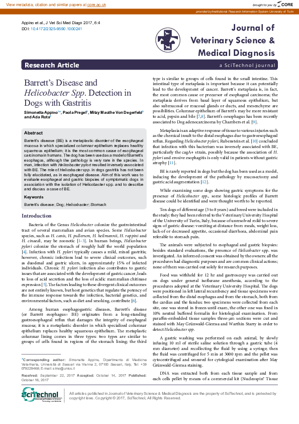 (PDF) Barrett’s Disease and Helicobacter Spp. Detection in Dogs with