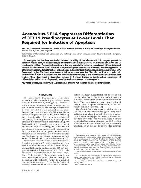 (PDF) Adenovirus-5 E1A suppresses differentiation of 3T3 L1 ...