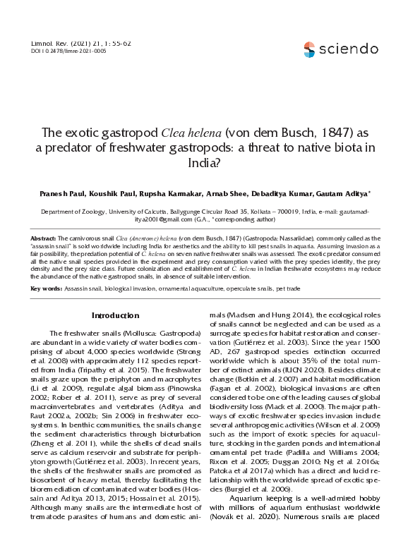 (PDF) The exotic gastropod Clea helena (von dem Busch, 1847) as a ...