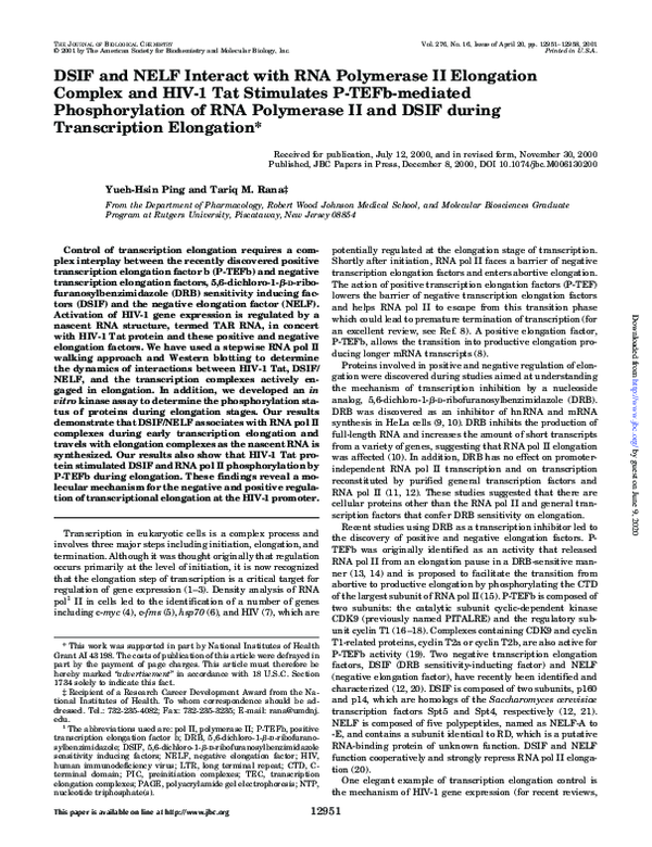 (PDF) DSIF and NELF Interact with RNA Polymerase II Elongation Complex ...