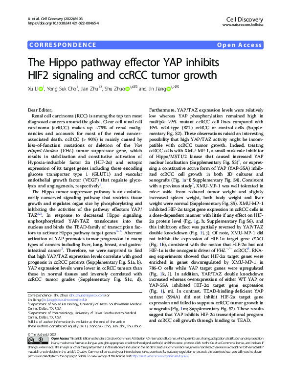 (PDF) The Hippo pathway effector YAP inhibits HIF2 signaling and ccRCC ...