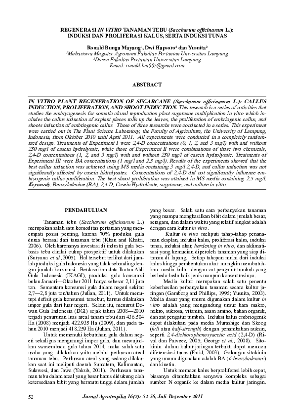 (PDF) REGENERASI IN VITRO TANAMAN TEBU (Saccharum officinarum L