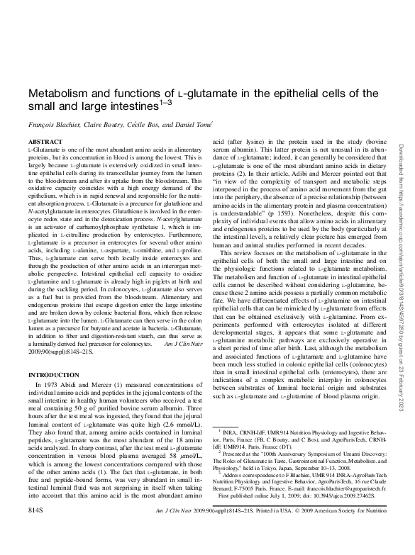 (PDF) Metabolism and functions of l-glutamate in the epithelial cells ...