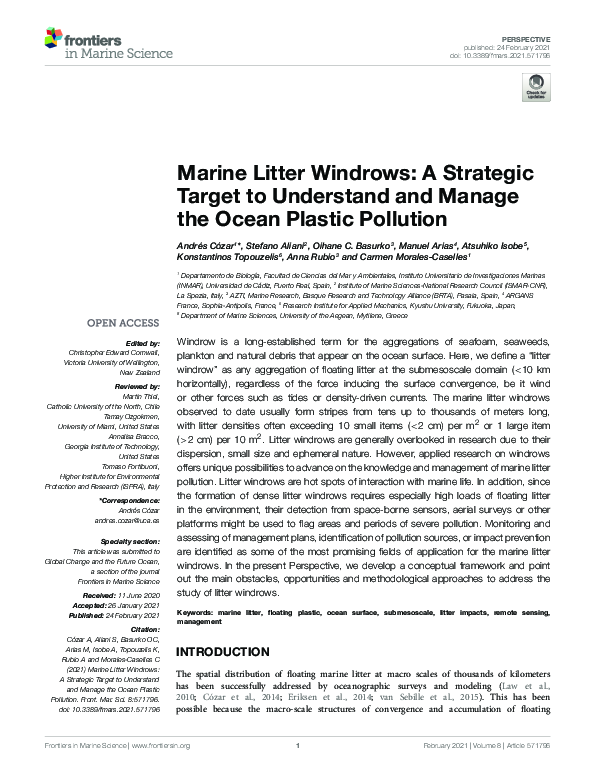 (PDF) Marine Litter Windrows: A Strategic Target to Understand and ...