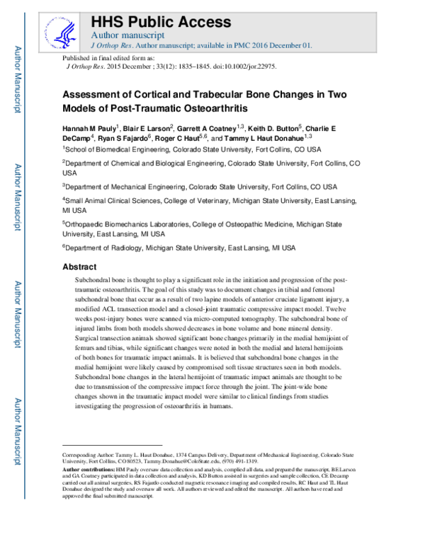 (PDF) Assessment of cortical and trabecular bone changes in two models ...