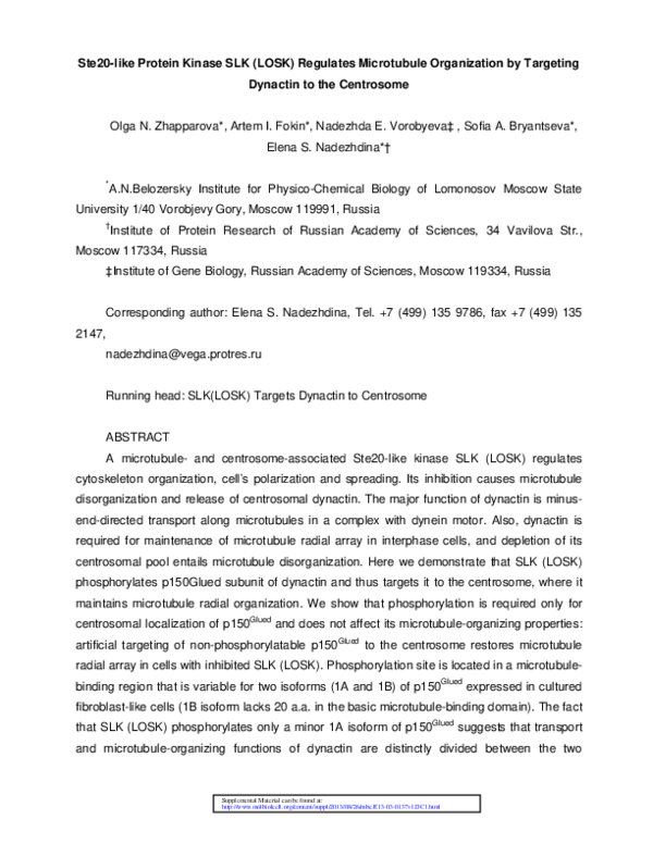 (PDF) Ste20-like protein kinase SLK (LOSK) regulates microtubule ...