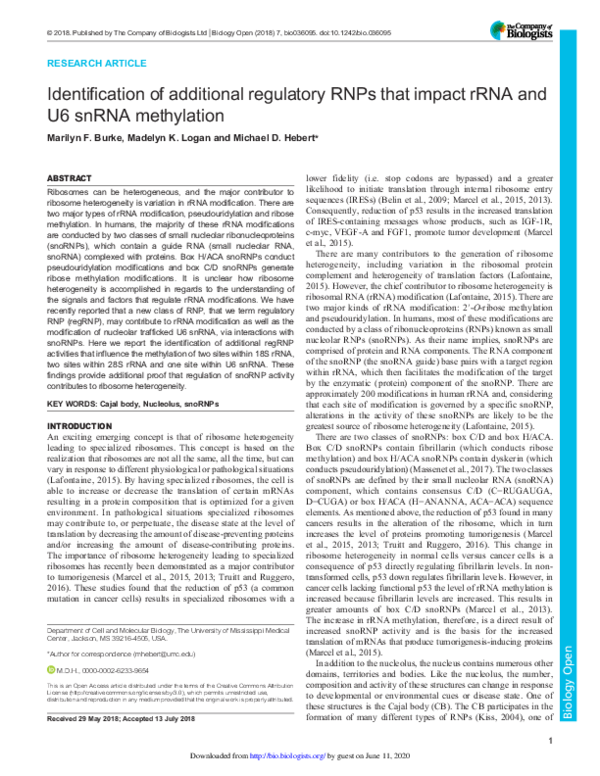 (PDF) Identification of additional regulatory RNPs that impact rRNA and ...