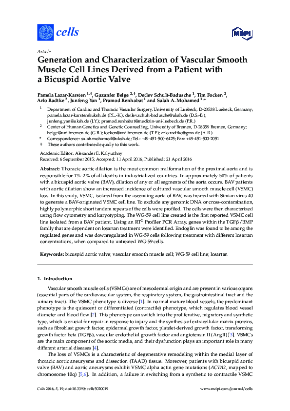 (PDF) Generation and Characterization of Vascular Smooth Muscle Cell ...