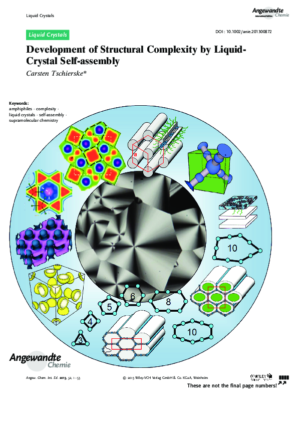(PDF) Development of Structural Complexity by Liquid-Crystal Self ...