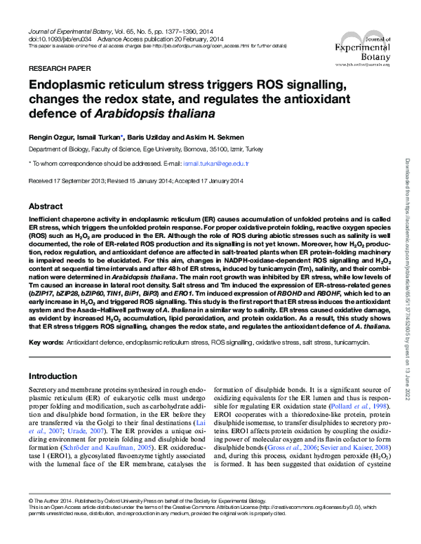 (PDF) Endoplasmic reticulum stress triggers ROS signalling, changes the ...