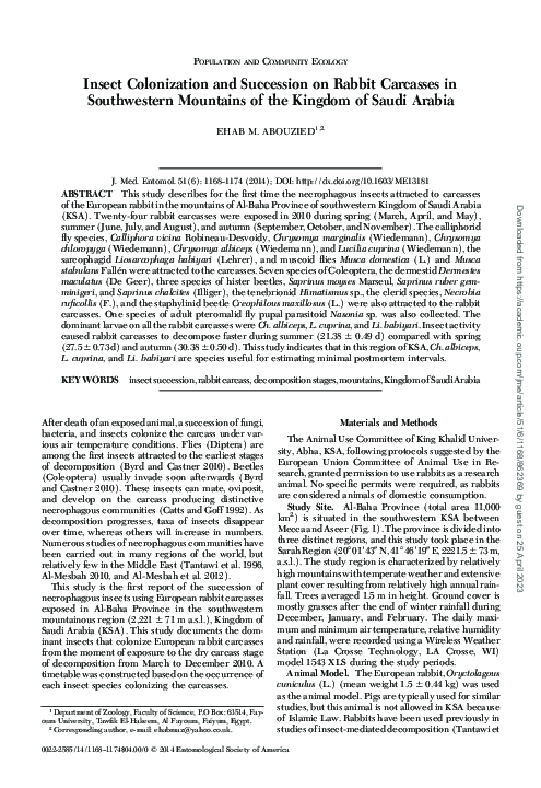 (PDF) Insect Colonization and Succession on Rabbit Carcasses in ...