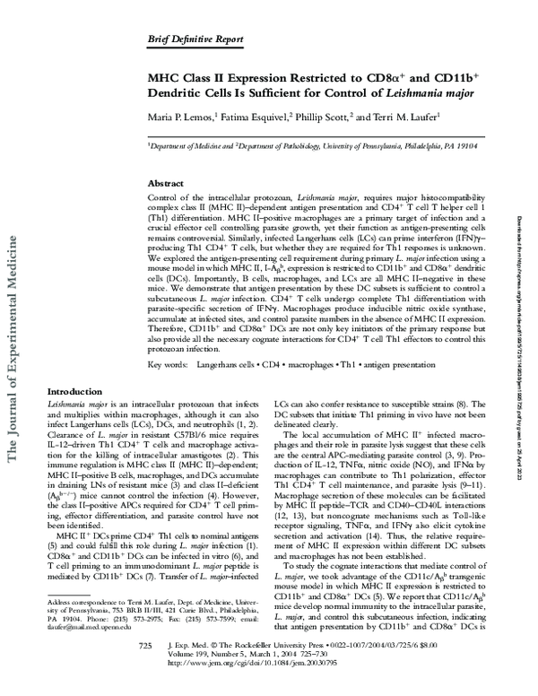(PDF) MHC Class II Expression Restricted to CD8α+ and CD11b+ Dendritic ...
