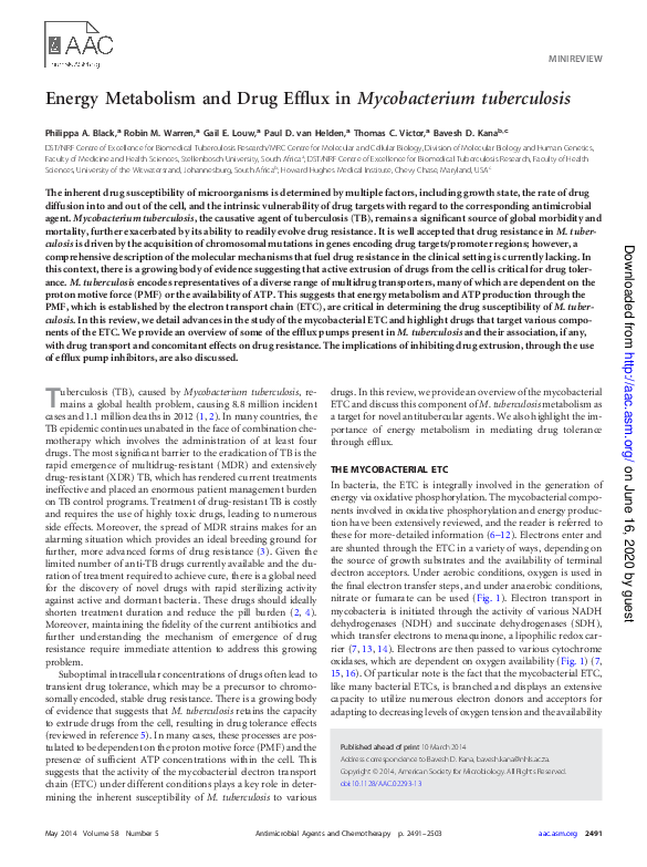(PDF) Energy metabolism and drug efflux in Mycobacterium tuberculosis