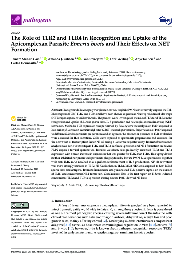(PDF) The Role of TLR2 and TLR4 in Recognition and Uptake of the ...