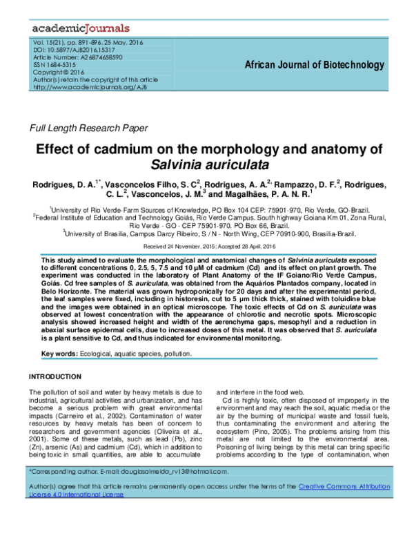(PDF) Effect of cadmium on the morphology and anatomy of Salvinia ...