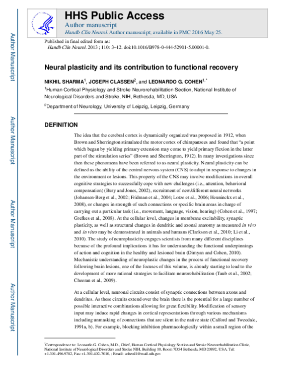 (PDF) Neural plasticity and its contribution to functional recovery