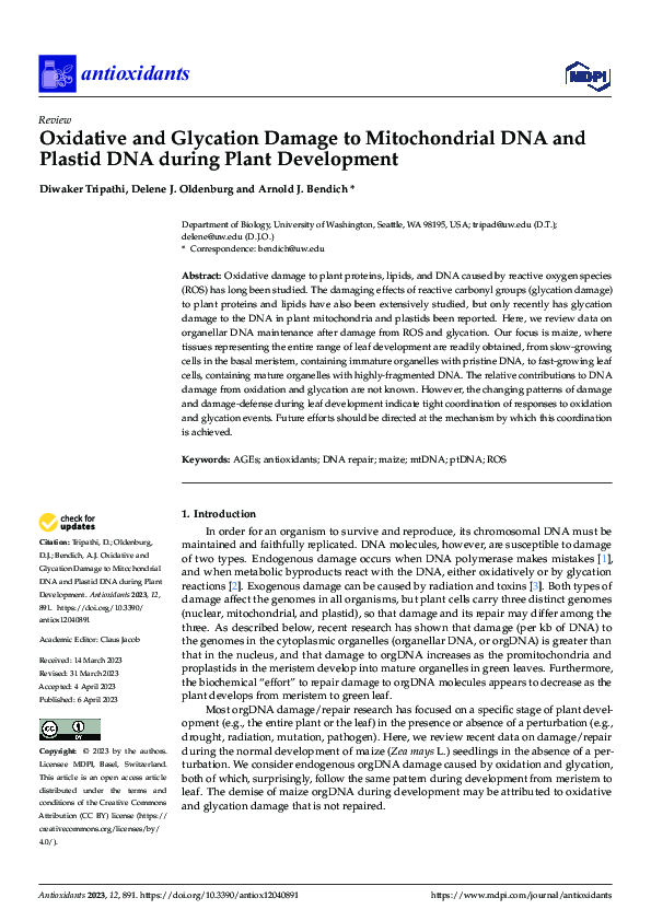 (PDF) Oxidative and Glycation Damage to Mitochondrial DNA and Plastid ...